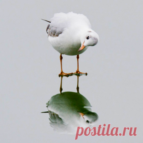 Слегка подтаявший лед