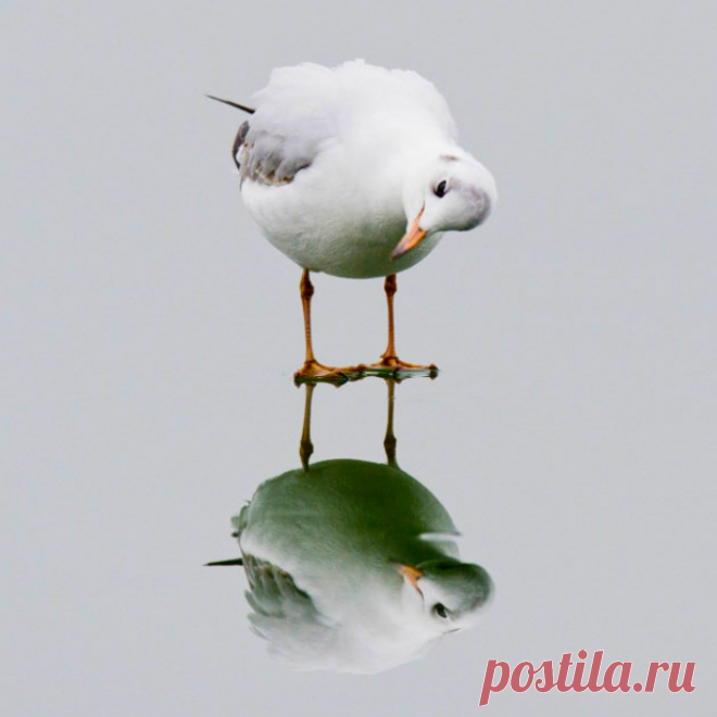Слегка подтаявший лед