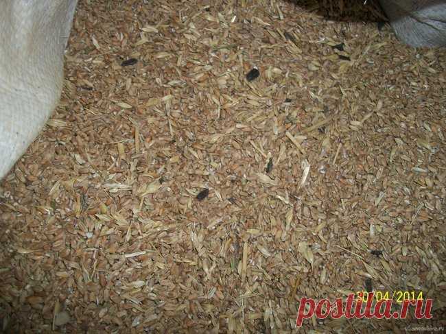 КОМБИКОРМ ДЛЯ КРОЛИКОВ