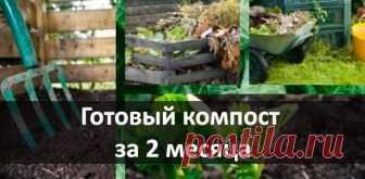Готовый компост за 2 месяца - болгарский рецепт закваски для компостных куч Компост является одним из самых ценных удобрений для вашего сада. Его широкое применение (подкормка, мульча и т.д.), сделало его одним из самых популярных