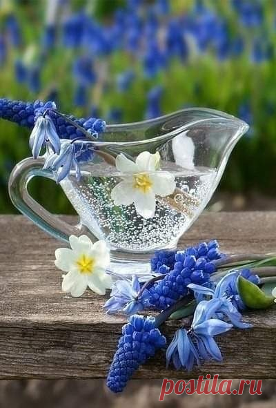 С ДОБРЫМ ЛЕТНИМ УТРОМ :-))😊😊😊