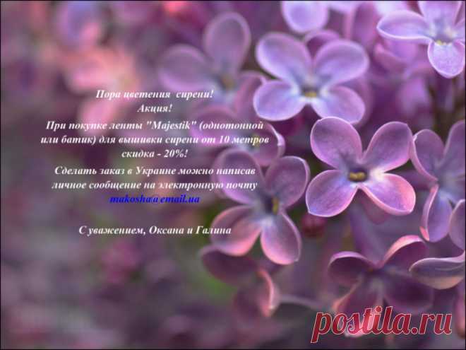Gallery.ru / Пора вышивать сирень! - Объявления - Galazil