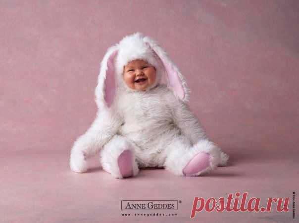 Anne Geddes | 84 фотографии