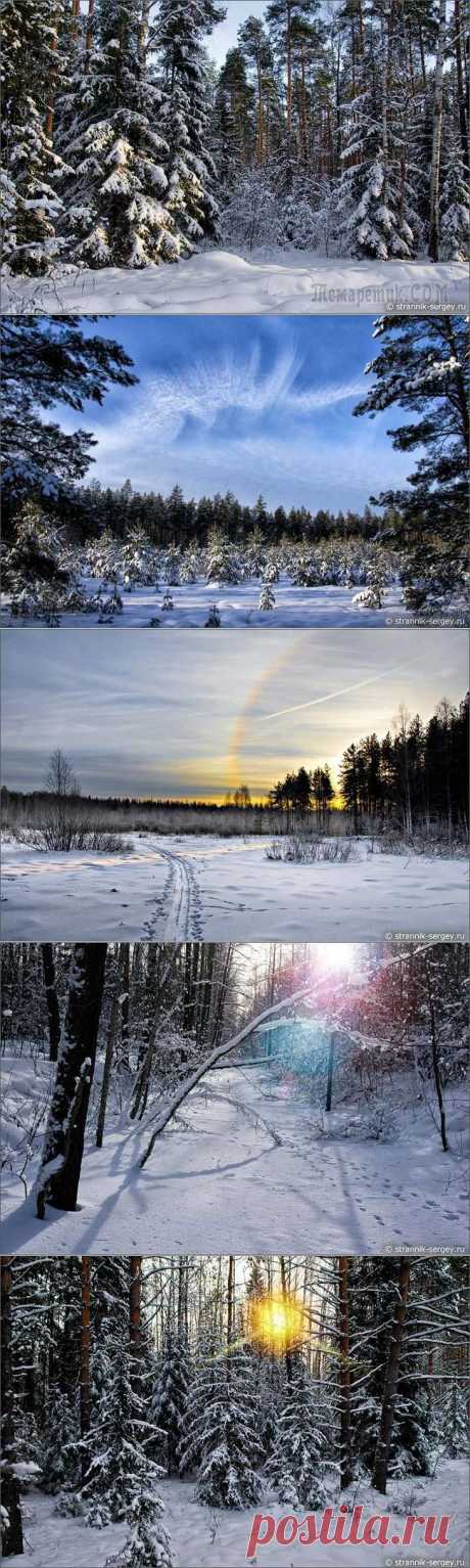 Затерянный мир
