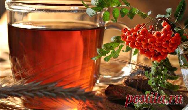 Квас из плодов рябины