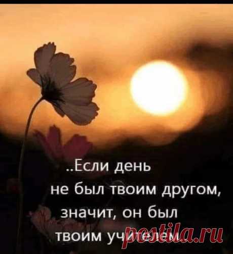 Нина Сурина