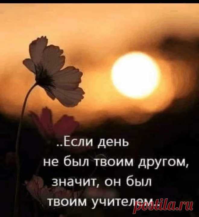 Нина Сурина