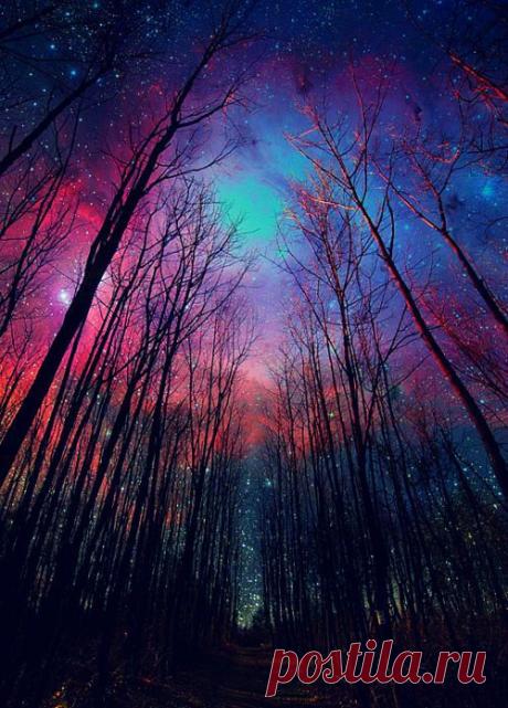 Найдено на сайте fractalenlightenment.com.