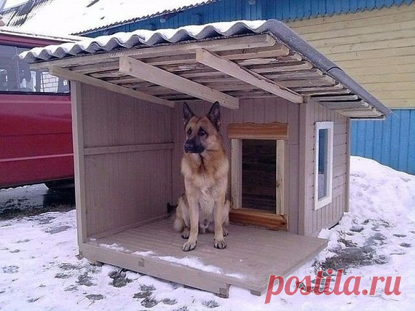Хозяин молодец
