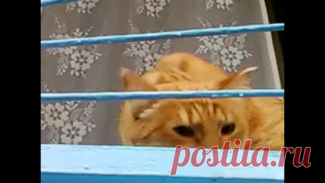 Использование влаговпитывающих салфеток