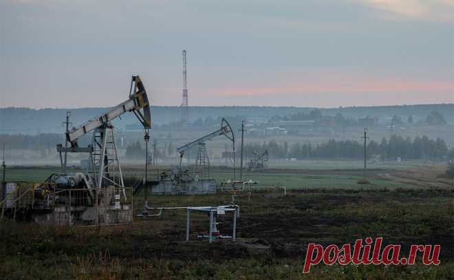Минфин заложил «цену отсечения» для нефти, равнозначную $75 по Brent. В 2024 году цена отсечения в рамках бюджетного правила будет определяться фактически как $75 за баррель североморской нефти (Brent), выяснил РБК. В последующие годы в формулу расчета добавится национальный индекс нефти