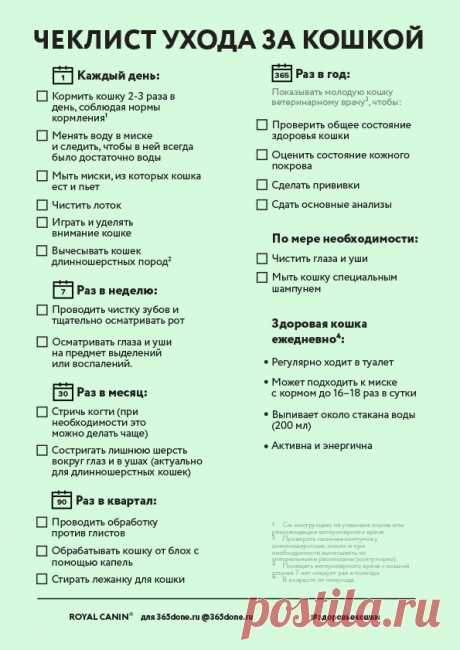 365done-catchecklist.jpg (595×841)