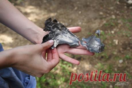 «Осколок попал в голову». Внук пострадавшей от БПЛА рассказал о ее состоянии. Из-за падения обломков сбитого украинского БПЛА в понедельник, 21 августа, в СНТ «Дорожник» и «Фауст-1» в подмосковной Истре пострадало два человека. Один из них — пенсионерка Валентина.