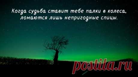 Цитаты, умные мысли / Pinme