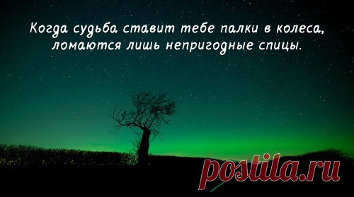 Цитаты, умные мысли / Pinme