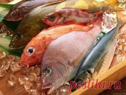МАЛЕНЬКИЕ ХИТРОСТИ ПРИ ПРИГОТОВЛЕНИИ РЫБЫ