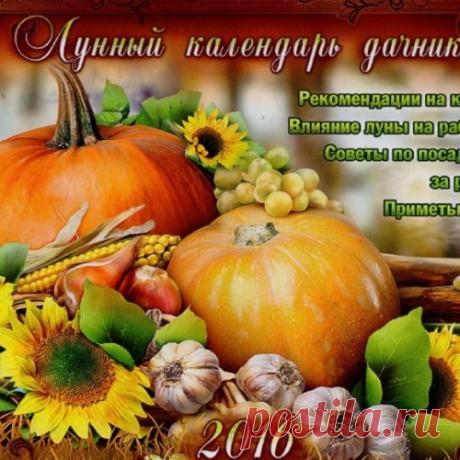 ЛУННЫЙ ПОСЕВНОЙ КАЛЕНДАРЬ НА 2016 ГОД.
