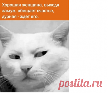 520b9bda.png (905×774)