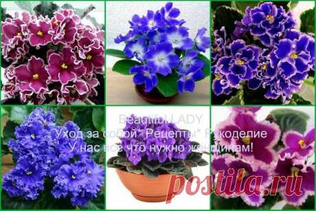 Beautiful LADY✔Уход за собой* Рецепты* Рукоделие