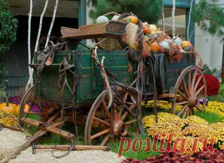 Newton High Wheel Wagon | Flickr - Photo Sharing! Высокий фургон. С 1870-х. В консерватории Белладжио, Лас Вегасе, Невада.