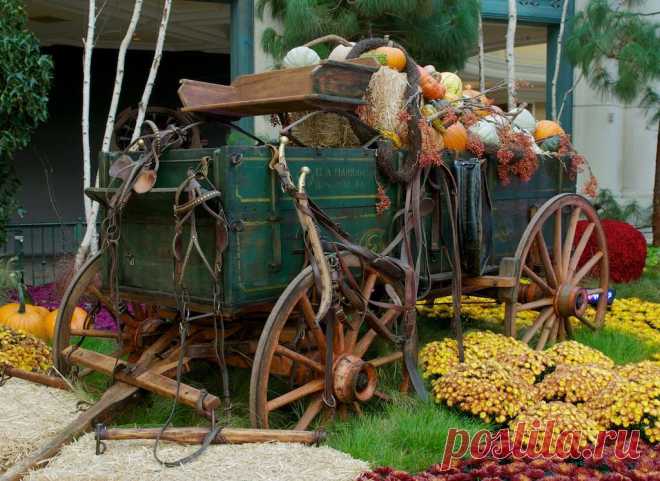 Newton High Wheel Wagon | Flickr - Photo Sharing! Высокий фургон. С 1870-х. В консерватории Белладжио, Лас Вегасе, Невада.