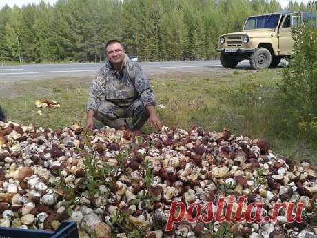 (60) Одноклассники