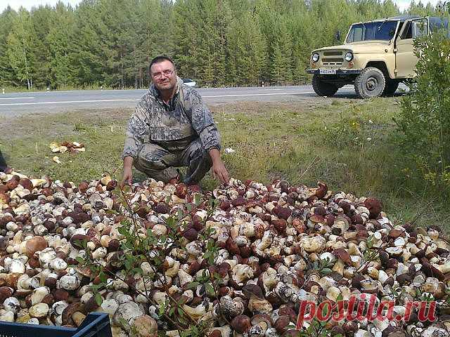 (60) Одноклассники