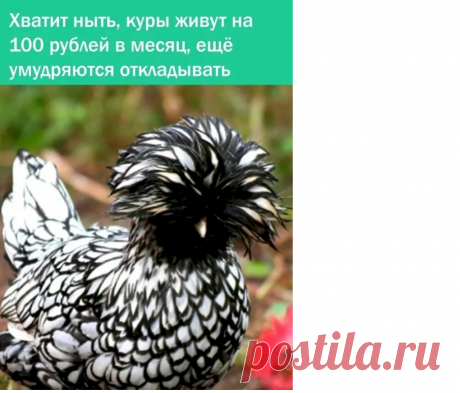 Выпуск №6736 - выпуск анекдотов сайта вокруг смеха