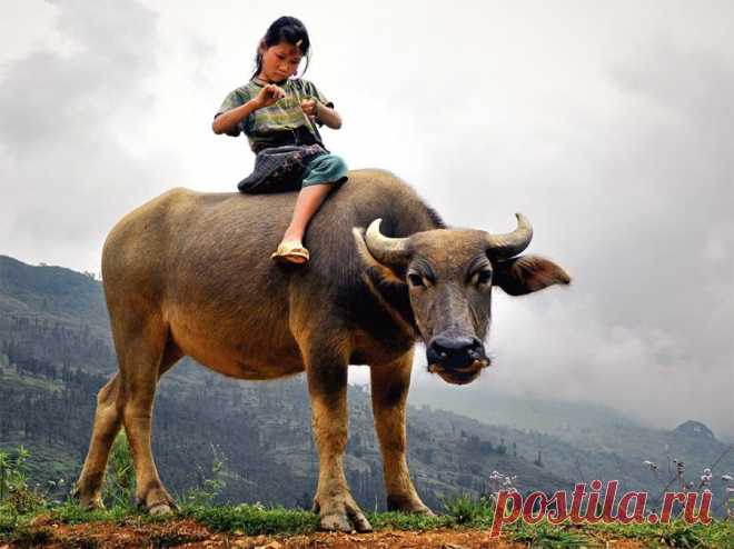 Лучшие фотографии National Geographic в феврале » Бяки.нет