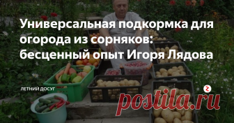 Универсальная подкормка для огорода из сорняков: бесценный опыт Игоря Лядова Игорь Лядов – известный огородник-любитель. Он проживает на Дальнем Востоке и стал известен после создания так называемого умного огорода. А урожайные высокие грядки Игоря Лядова использовали уже многие огородники.
Удобрение, о котором мы расскажем сегодня, сам Лядов называет «настоящей находкой для садовода». Оно готовится буквально из ничего, а дает удивительный результат! Более того, его можно