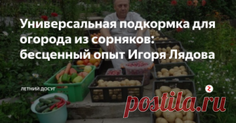 Универсальная подкормка для огорода из сорняков: бесценный опыт Игоря Лядова Игорь Лядов – известный огородник-любитель. Он проживает на Дальнем Востоке и стал известен после создания так называемого умного огорода. А урожайные высокие грядки Игоря Лядова использовали уже многие огородники.
Удобрение, о котором мы расскажем сегодня, сам Лядов называет «настоящей находкой для садовода». Оно готовится буквально из ничего, а дает удивительный результат! Более того, его можно