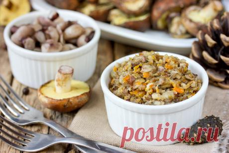 Кулинарные советы. Быстрый мастер-класс: грибная икра на зиму