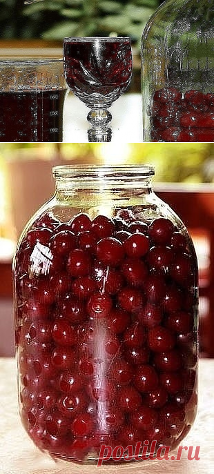 (51) Одноклассники