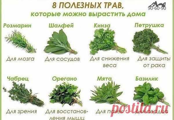 Интересные новости