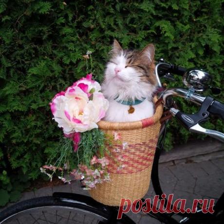 Гармония во всем!!!