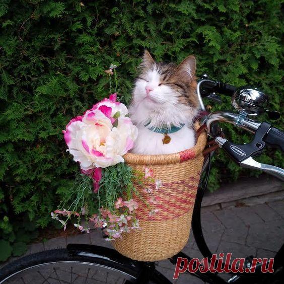 Гармония во всем!!!