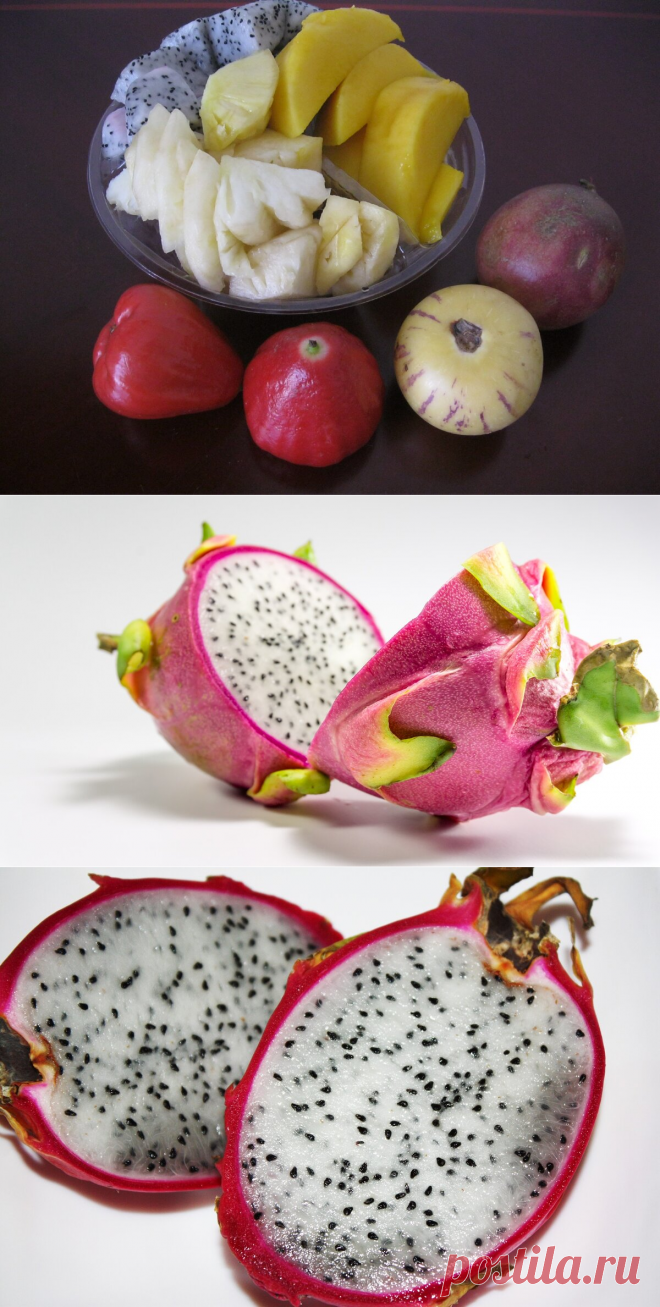 ПП. Экзотические фрукты: краткий гид для туриста