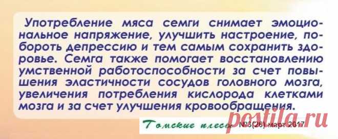 О пользе мяса семги
