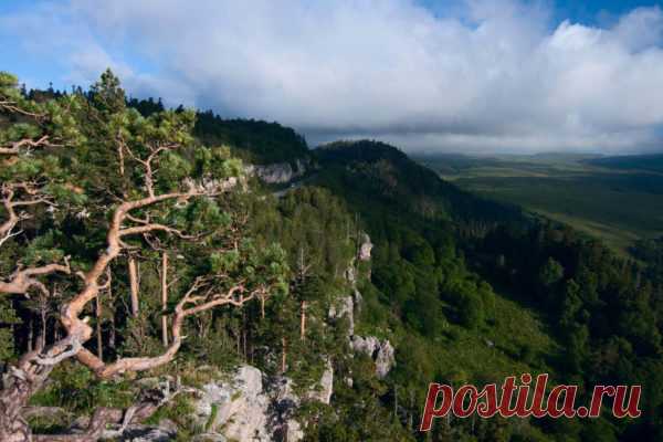 Отдых в марте в Краснодарском крае | Travelinka.ru Где отдохнуть в марте в Краснодарском крае. Курорты. Куда поехать в марте в Краснодарском крае.