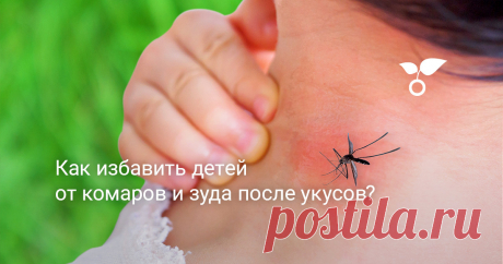 Комары – распространенная проблема у любого дачника. Насекомые мешают работать на участке. Они также способны полностью испортить загородный отдых с семьей!