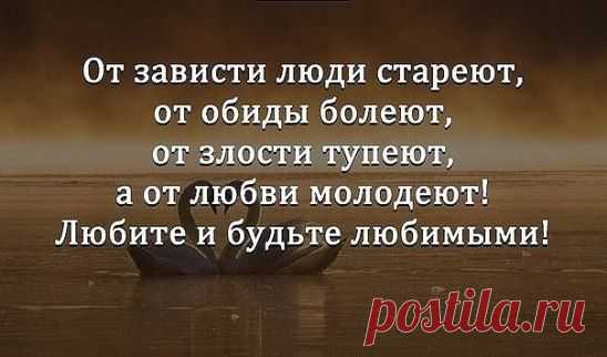 мудрость