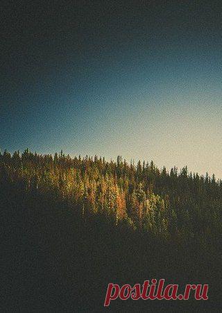 Окончательное суждение о себе самом впсам. / Понимание бизнеса