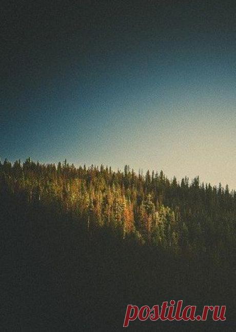 Окончательное суждение о себе самом впсам. / Понимание бизнеса