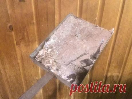 Рецепт чудо-раствора для роскошного цветения фиалки | Цветы в квартире и на даче – от Радзевской Виктории | Яндекс Дзен