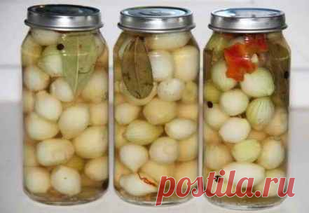 Заготовки на зиму: маринованный лук
