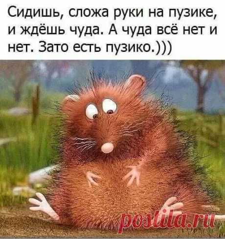 22 классных анекдота, и шутки в картинках