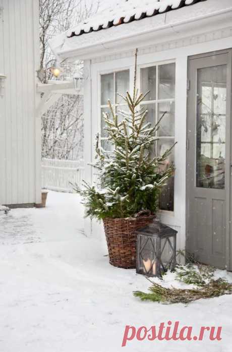 Tara Dillard - Google+
