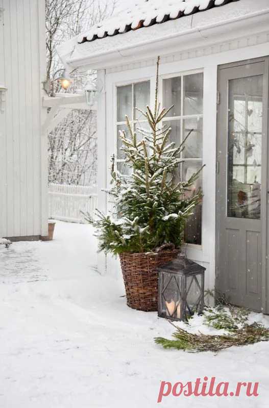 Tara Dillard - Google+