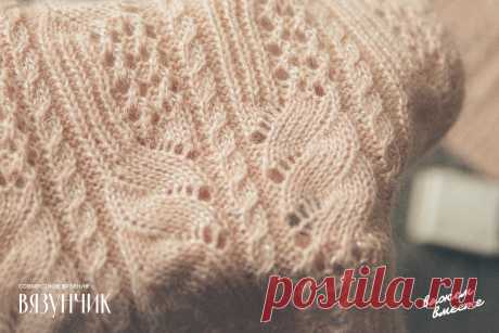 Совместник по жакету от Сезан открыт. Готовим пряжу, вяжем образцы | Вязунчик — вяжем вместе | Яндекс Дзен