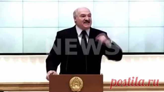 Может, и нам взять пример